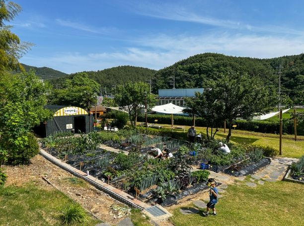 상반기 가족사랑 행복텃밭 수료식 모습