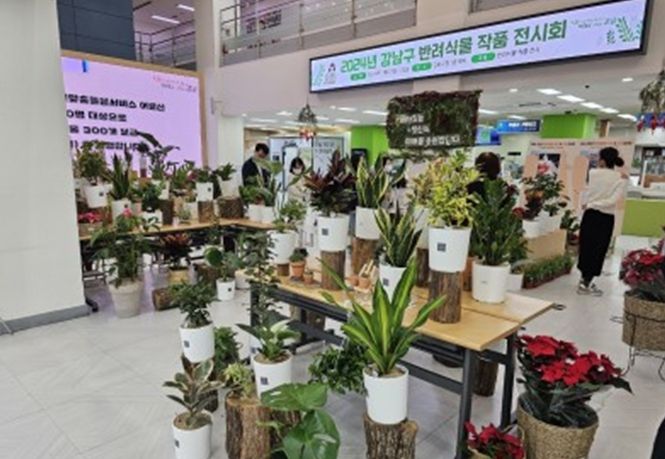 반려식물 전시회